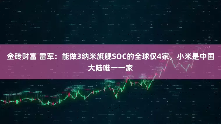 金砖财富 雷军：能做3纳米旗舰SOC的全球仅4家，小米是中国大陆唯一一家