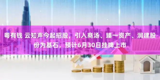 粤有钱 云知声今起招股，引入商汤、臻一资产、润建股份为基石，预计6月30日挂牌上市