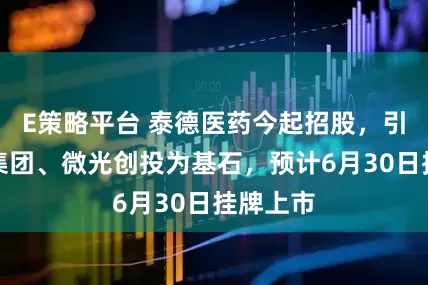E策略平台 泰德医药今起招股，引入石药集团、微光创投为基石，预计6月30日挂牌上市