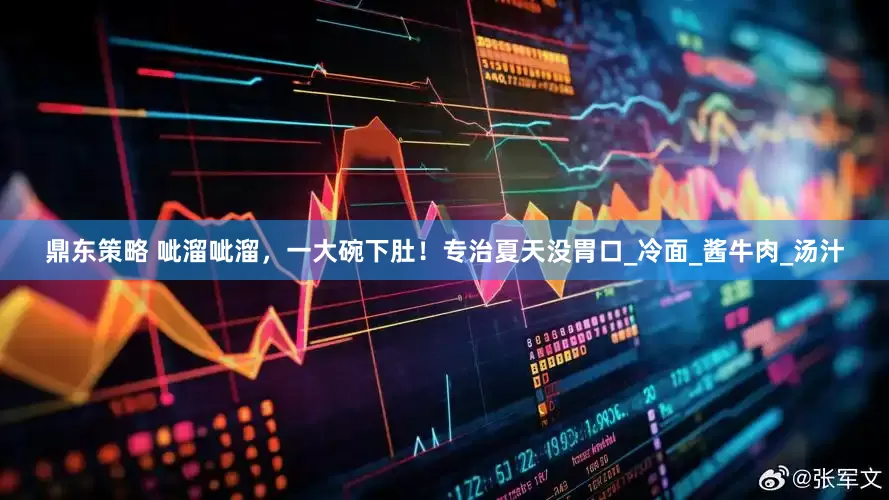 鼎东策略 呲溜呲溜，一大碗下肚！专治夏天没胃口_冷面_酱牛肉_汤汁