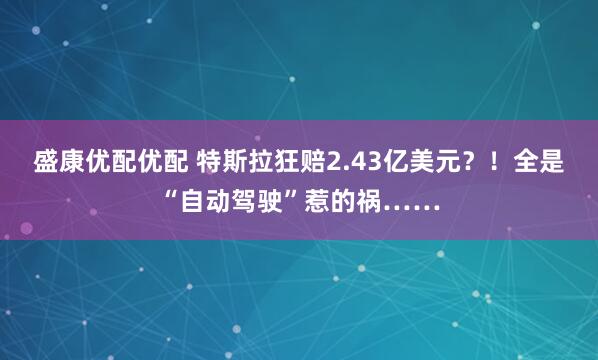 盛康优配优配 特斯拉狂赔2.43亿美元？！全是“自动驾驶”惹的祸……