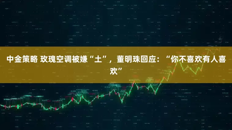 中金策略 玫瑰空调被嫌“土”，董明珠回应：“你不喜欢有人喜欢”