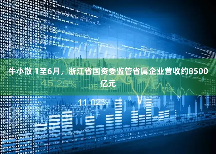牛小散 1至6月，浙江省国资委监管省属企业营收约8500亿元