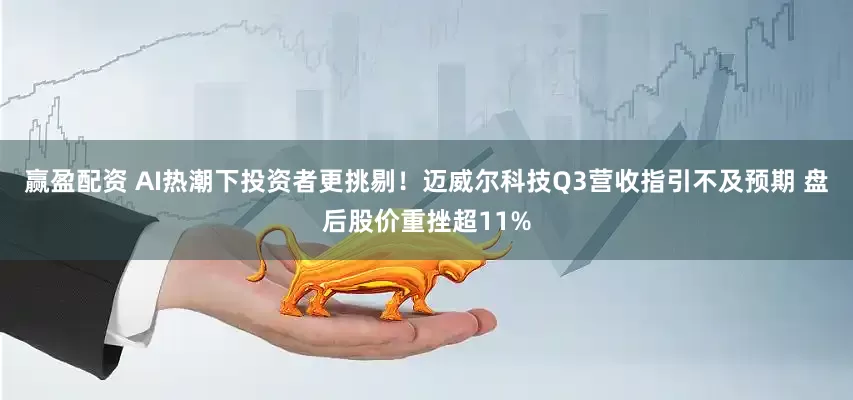 赢盈配资 AI热潮下投资者更挑剔！迈威尔科技Q3营收指引不及预期 盘后股价重挫超11%