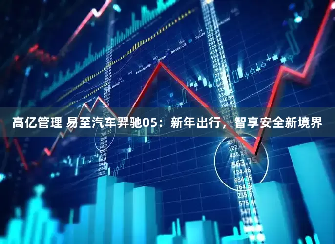 高亿管理 易至汽车羿驰05：新年出行，智享安全新境界